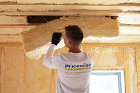 Best Eco-Friendly or Green Insulation Solutions  in Pine Lakes, FL